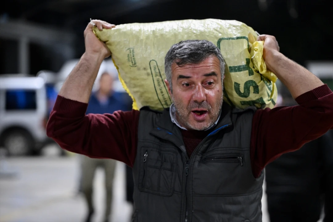 Düzce'de Kestane Mezatı Kapılarını Açtı