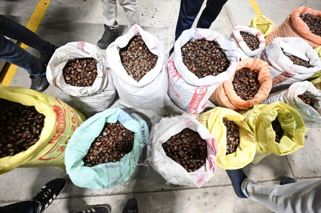 Düzce'de Kestane Mezatı Kapılarını Açtı