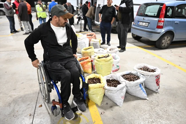 Düzce'de Kestane Mezatı Kapılarını Açtı