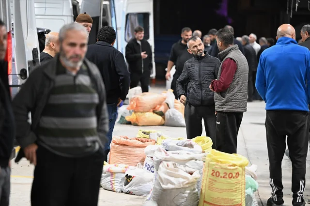 Düzce'de Kestane Mezatı Kapılarını Açtı