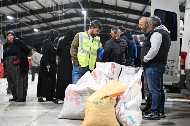 Düzce'de Kestane Mezatı Kapılarını Açtı