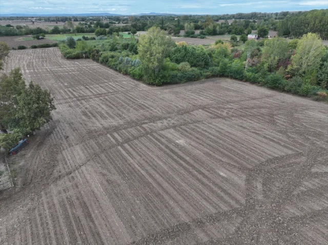 Trakya'da Beklenen Yağışlar Çiftçiye Umut Oldu