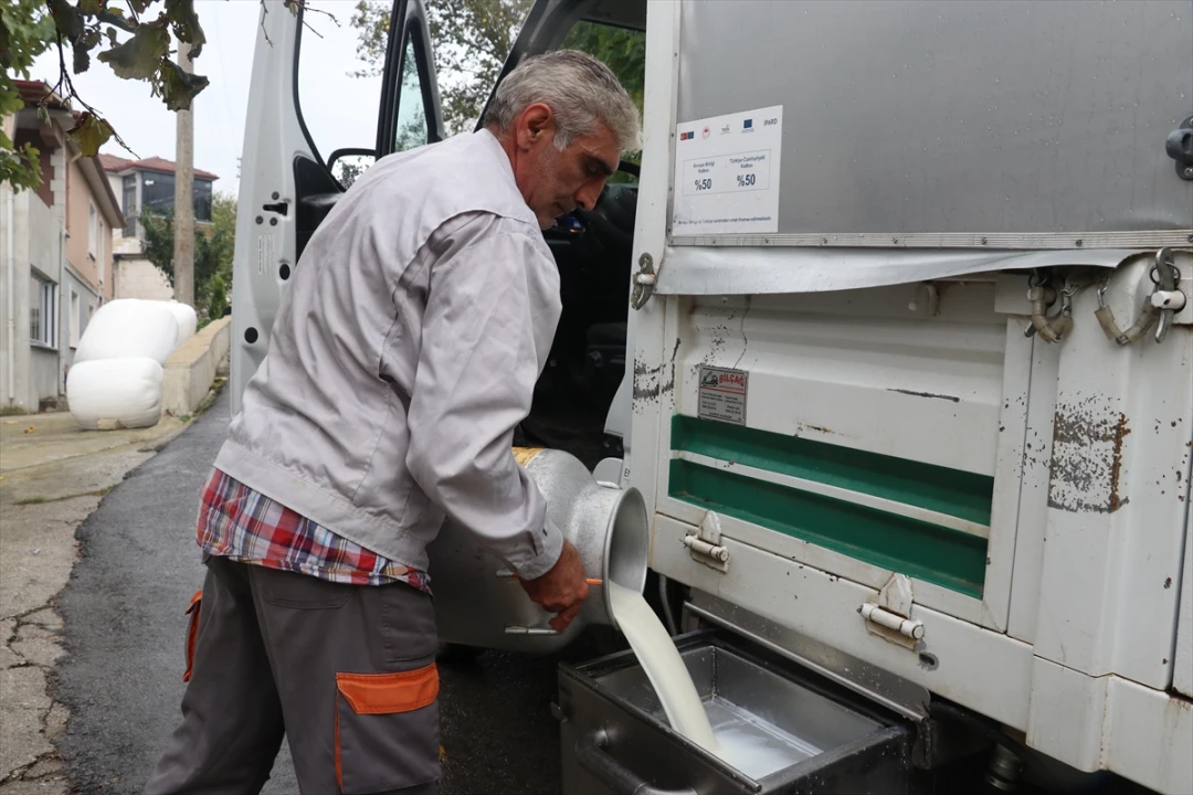Sakarya'da Süt Üretiminde Büyük Atılım Devletin Desteğiyle Geliyor