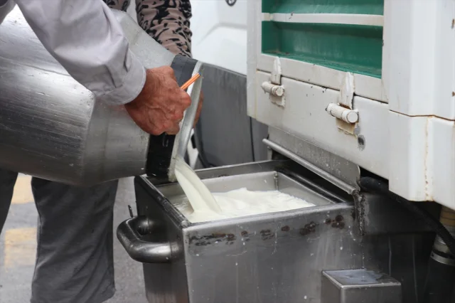Sakarya'da Süt Üretiminde Büyük Atılım Devletin Desteğiyle Geliyor