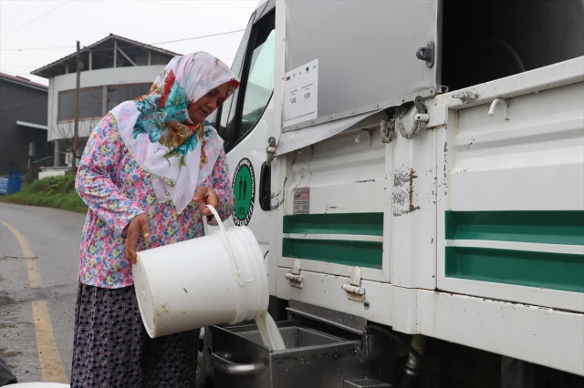 Sakarya'da Süt Üretiminde Büyük Atılım Devletin Desteğiyle Geliyor