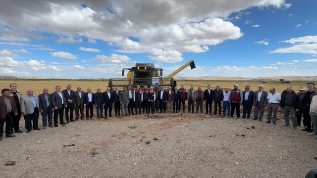 Çankırı'da Çeltik Hasadı Büyük Coşkuyla Yapıldı