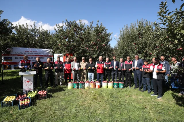 Muş'un Elma Hasadında Beklenen Büyük Gelir