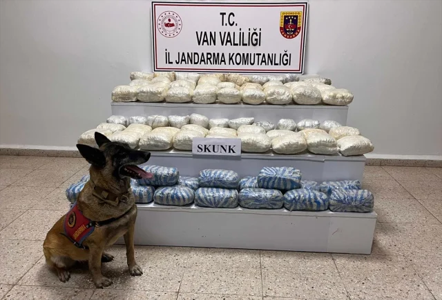 Van'da Büyük Uyuşturucu Operasyonu: 47 Kilo Skunk Ele Geçiri...