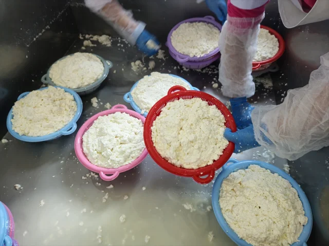 Balıkesir'in Sındırgı İlçesinde Kadın İstihdamı Butik Mandırayla Canlanıyor