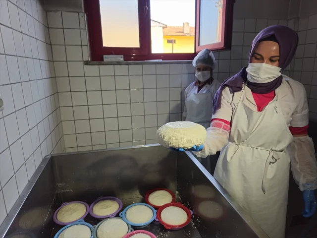Balıkesir'in Sındırgı İlçesinde Kadın İstihdamı Butik Mandırayla Canlanıyor