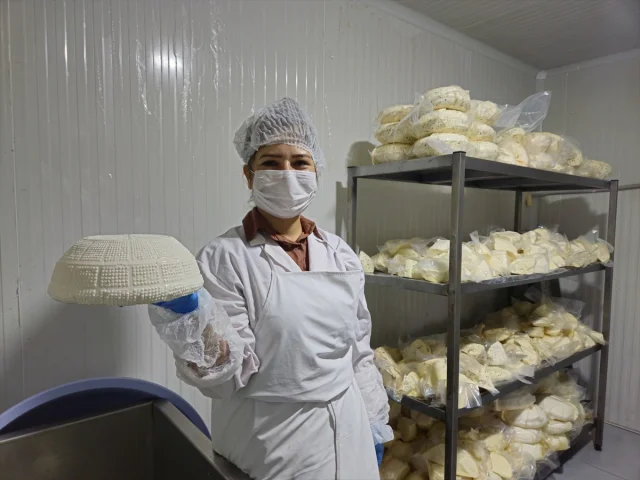 Balıkesir'in Sındırgı İlçesinde Kadın İstihdamı Butik Mandırayla Canlanıyor