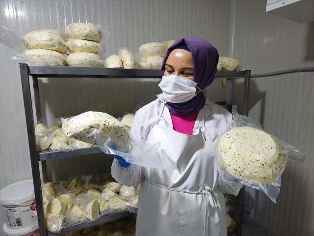 Balıkesir'in Sındırgı İlçesinde Kadın İstihdamı Butik Mandırayla Canlanıyor