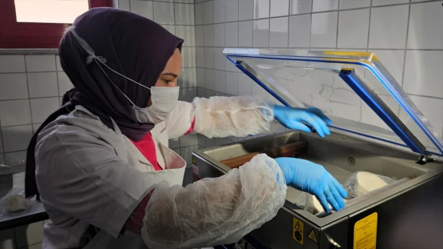 Balıkesir'in Sındırgı İlçesinde Kadın İstihdamı Butik Mandırayla Canlanıyor