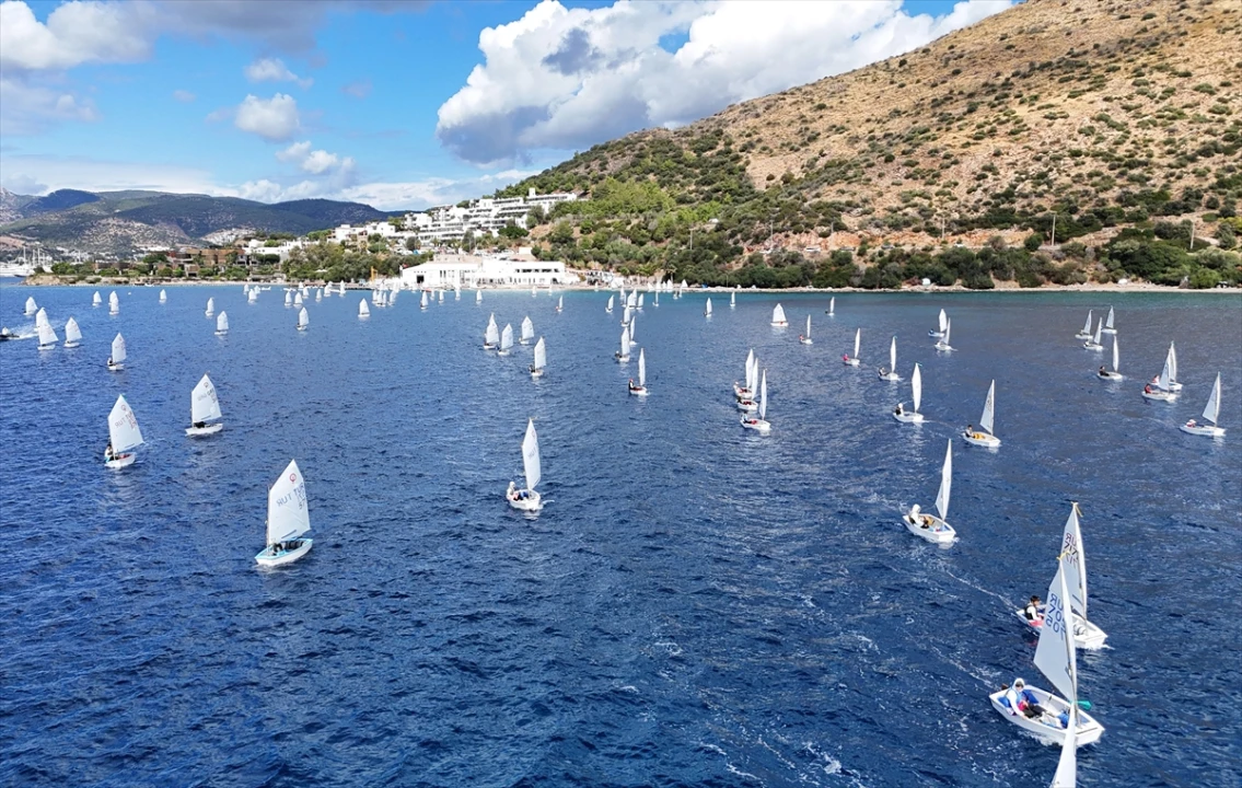 Bodrum'da Rüzgârlar Yelkenciler İçin Esiyor: Optimist Yarışlarına Yoğun İlgi