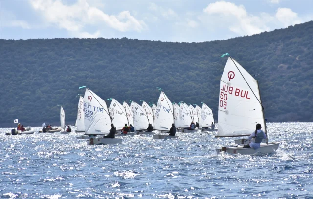 Bodrum'da Rüzgârlar Yelkenciler İçin Esiyor: Optimist Yarışlarına Yoğun İlgi