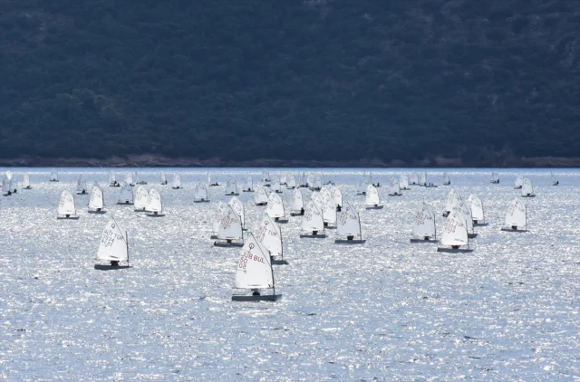 Bodrum'da Rüzgârlar Yelkenciler İçin Esiyor: Optimist Yarışlarına Yoğun İlgi