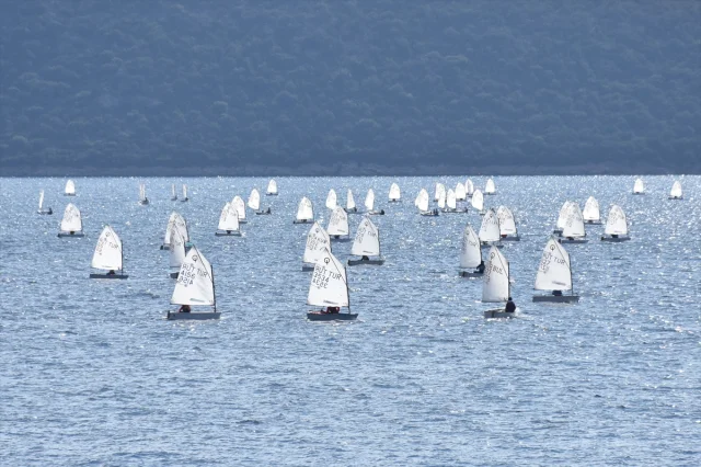 Bodrum'da Rüzgârlar Yelkenciler İçin Esiyor: Optimist Yarışlarına Yoğun İlgi