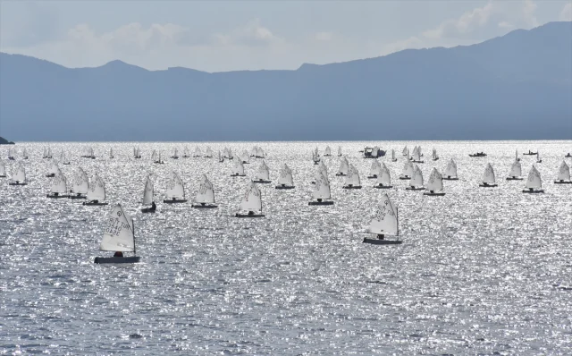 Bodrum'da Rüzgârlar Yelkenciler İçin Esiyor: Optimist Yarışlarına Yoğun İlgi