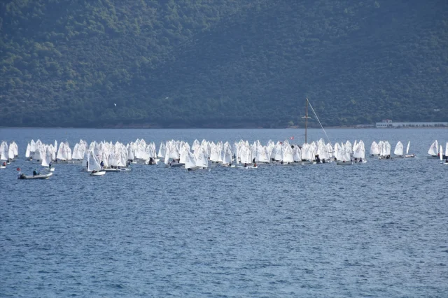 Bodrum'da Rüzgârlar Yelkenciler İçin Esiyor: Optimist Yarışlarına Yoğun İlgi