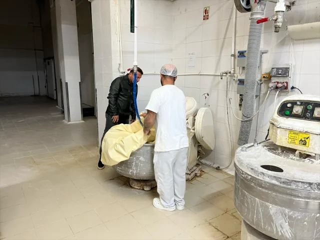 Denizli'de halk ekmek fabrikasında fare alarmı