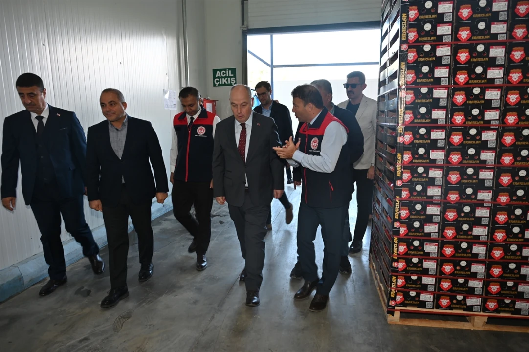 Denizli'de Nar Hasadı Başladı Ekonomiye Canlılık Gelecek