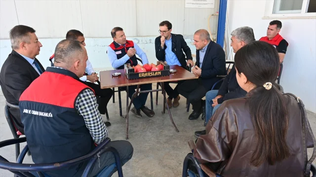 Denizli'de Nar Hasadı Başladı Ekonomiye Canlılık Gelecek