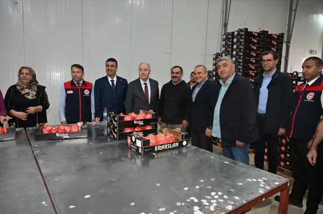 Denizli'de Nar Hasadı Başladı Ekonomiye Canlılık Gelecek