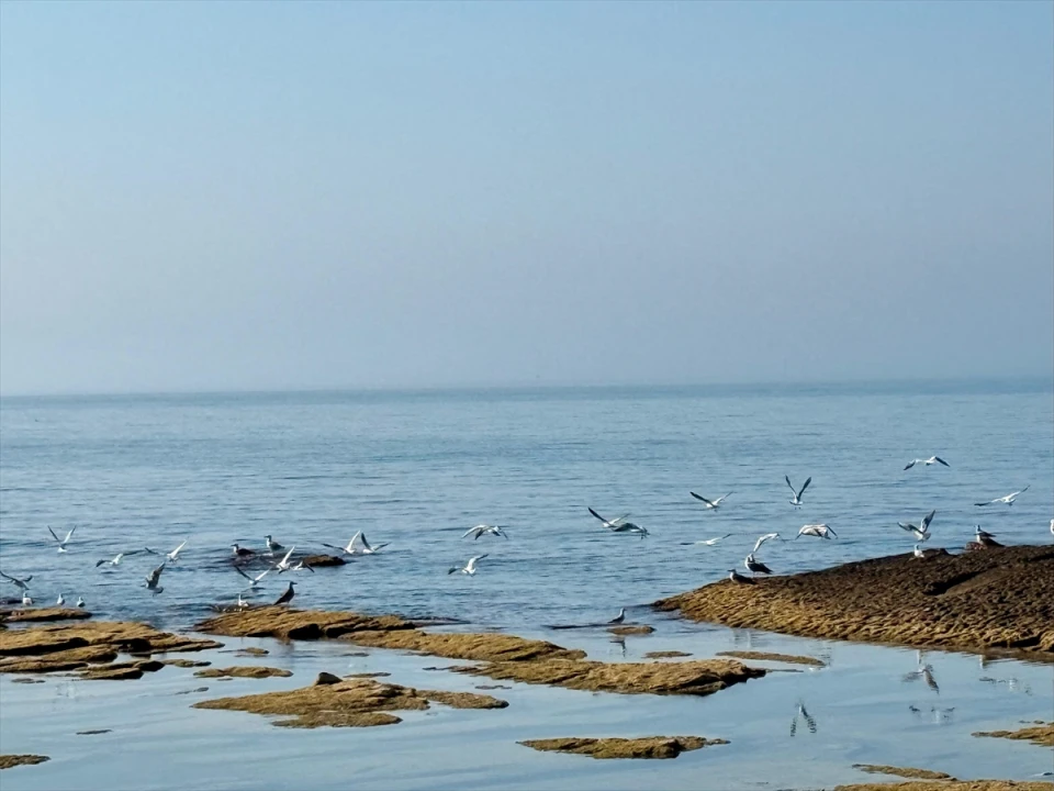 Hazar Denizi'nin Geleceği Tehdit Altında