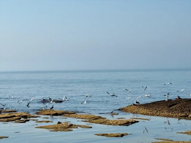 Hazar Denizi'nin Geleceği Tehdit Altında