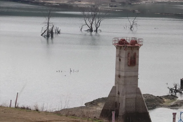Tekirdağ'da Naip Barajı'nın Durumu Endişe Veriyor
