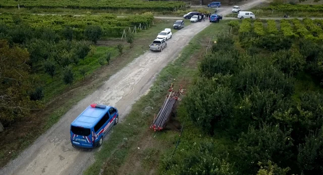 Sakarya'da üzüm bağları hırsızlara karşı nasıl korunuyor?