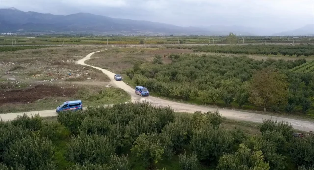 Sakarya'da üzüm bağları hırsızlara karşı nasıl korunuyor?