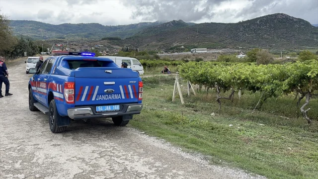 Sakarya'da üzüm bağları hırsızlara karşı nasıl korunuyor?