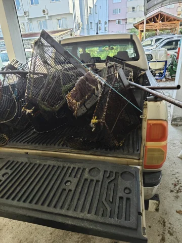 Samsun'da Midye Kaçakçılığı Ortaya Çıktı