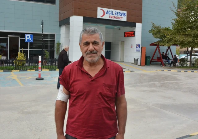 Kastamonu'daki korku dolu anlar: Ayıdan kaçarken yaralandı