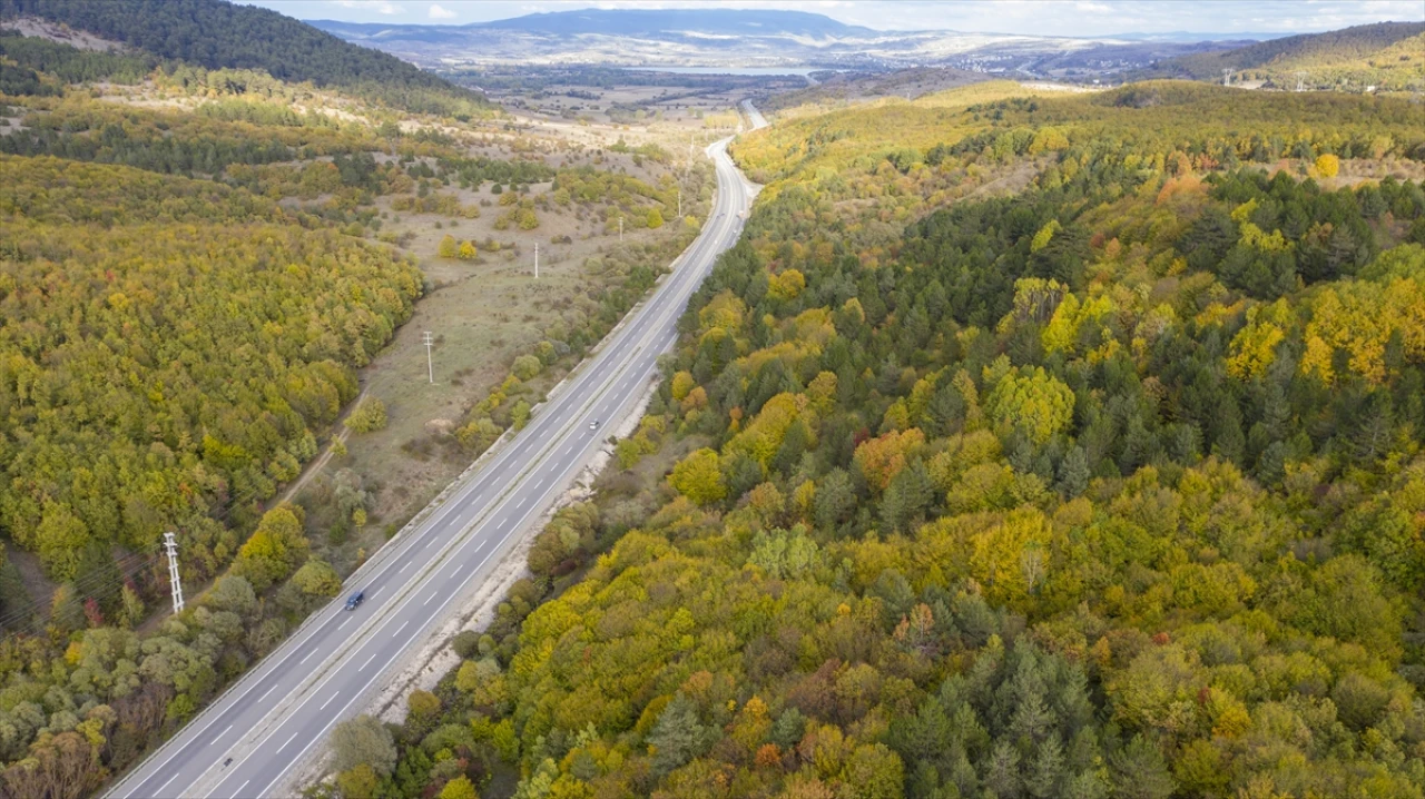 Bolu Dağı'nı Geçerken Sonbaharın Büyüsüne Kapılmaya Hazır Olun
