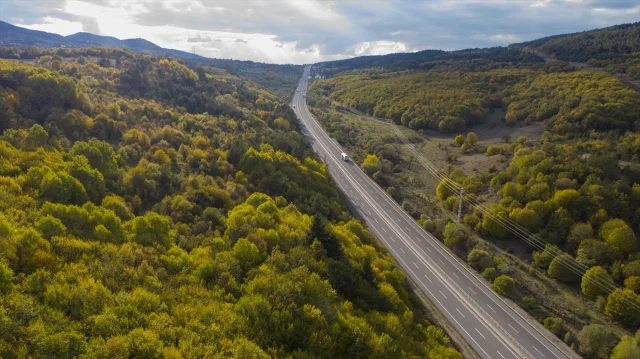 Bolu Dağı'nı Geçerken Sonbaharın Büyüsüne Kapılmaya Hazır Olun