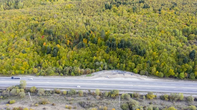 Bolu Dağı'nı Geçerken Sonbaharın Büyüsüne Kapılmaya Hazır Olun