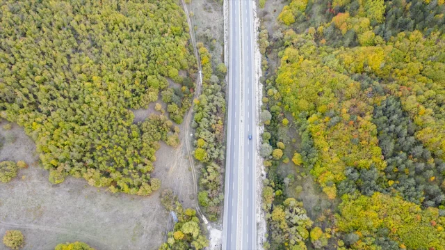 Bolu Dağı'nı Geçerken Sonbaharın Büyüsüne Kapılmaya Hazır Olun