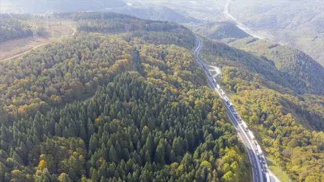 Bolu Dağı'nı Geçerken Sonbaharın Büyüsüne Kapılmaya Hazır Olun