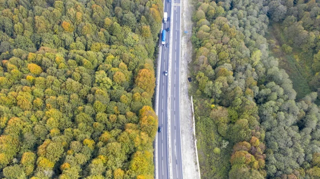 Bolu Dağı'nı Geçerken Sonbaharın Büyüsüne Kapılmaya Hazır Olun