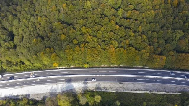 Bolu Dağı'nı Geçerken Sonbaharın Büyüsüne Kapılmaya Hazır Olun