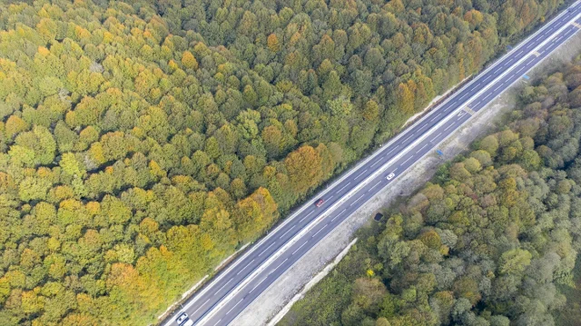 Bolu Dağı'nı Geçerken Sonbaharın Büyüsüne Kapılmaya Hazır Olun