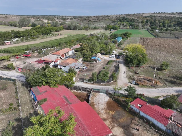 Edirne'de Tarım Devrimi: Şirin Teyze İkinci Serasına Kavuşuyor