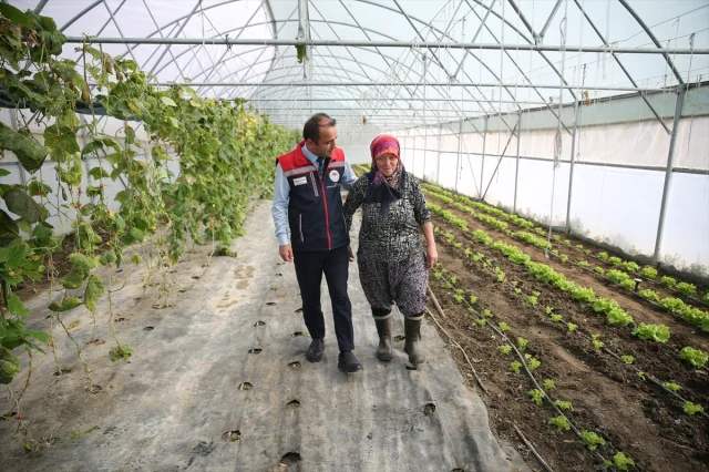 Edirne'de Tarım Devrimi: Şirin Teyze İkinci Serasına Kavuşuyor