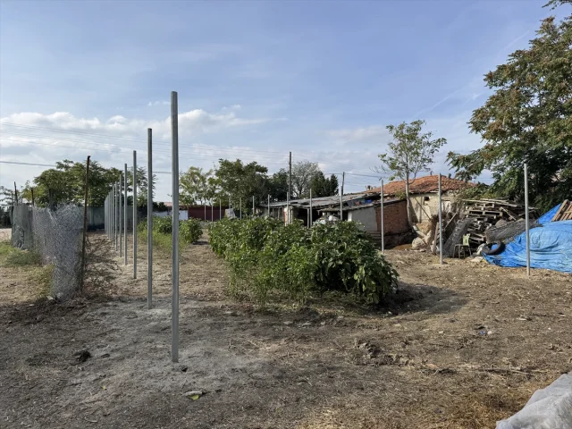 Edirne'de Tarım Devrimi: Şirin Teyze İkinci Serasına Kavuşuyor