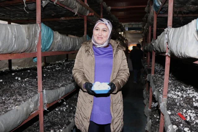 Girişimci Kadın Erzurum'da Mantar Üretiminde Çığır Açıyor