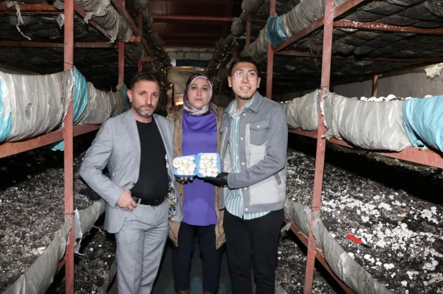 Girişimci Kadın Erzurum'da Mantar Üretiminde Çığır Açıyor