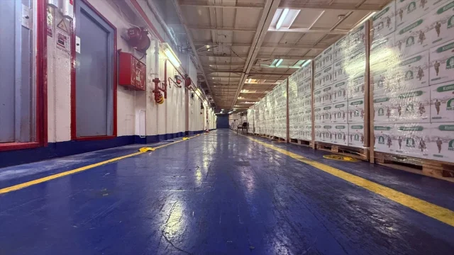 Türkiye'nin Gazze'ye Umut Taşıyan Yardım Gemisi El-Ariş Limanı'na Ulaştı