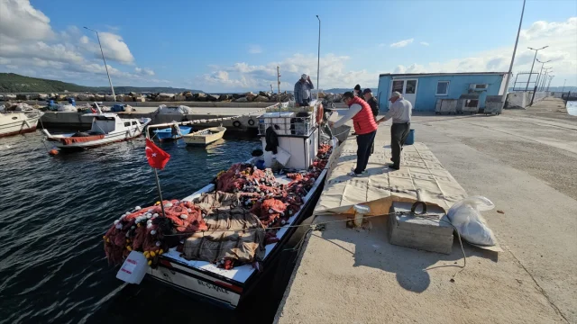 Çanakkale'de Balıkçının Büyük Şansı: Lüfer Avında Beklenmeyen 1000 Palamut
